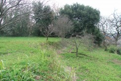 Copia di Immagine prov 037