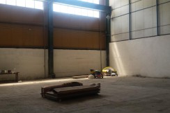 20170608_140459 (Medium)