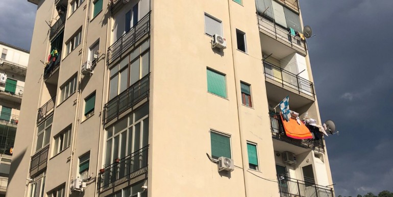 palazzo (2)
