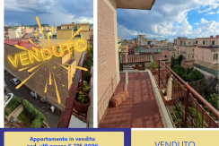 venduto v19