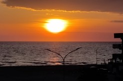 WhatsApp Image 2025-09-30 at 13.27.22