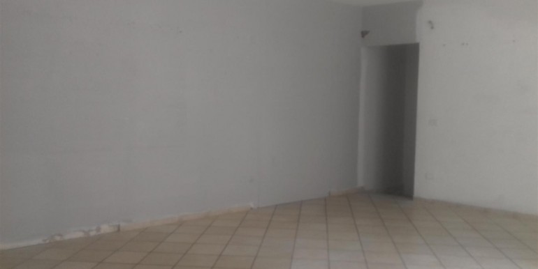 20171006_140732 (Medium)