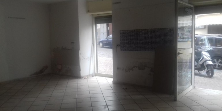 20171006_140740 (Medium)