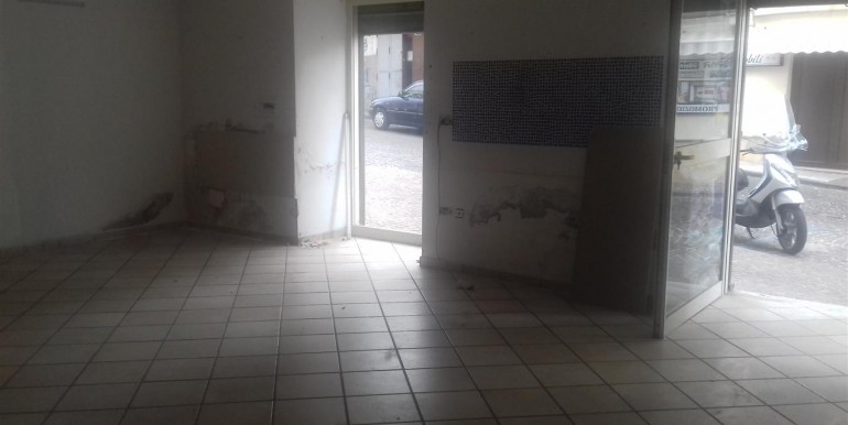 20171006_140744 (Medium)