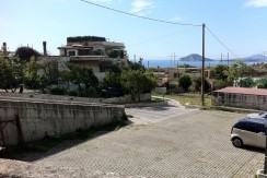 WhatsApp Image 2025-10-27 at 15.42.10 (1)