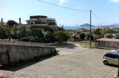 WhatsApp Image 2025-10-27 at 15.42.10 (1)