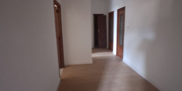 WhatsApp Image 2025-11-07 at 12.29.49