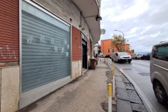 WhatsApp Image 2025-12-02 at 16.45.54