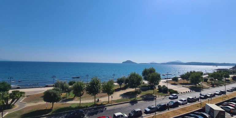 WhatsApp Image 2026-01-15 at 11.24.52 (1)