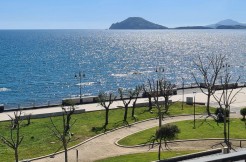 WhatsApp Image 2026-01-15 at 11.24.52 (2)