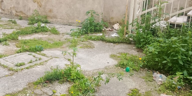 WhatsApp Image 2026-01-23 at 14.42.51 (3)