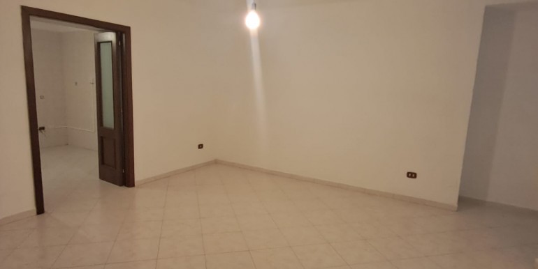 WhatsApp Image 2026-02-12 at 11.13.22