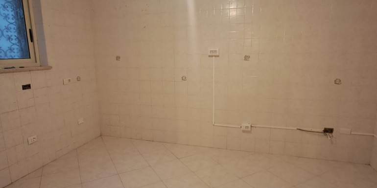 WhatsApp Image 2026-02-12 at 11.13.23 (1)