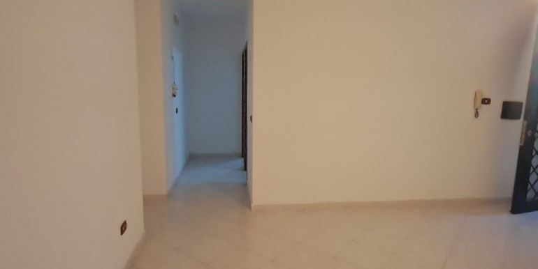 WhatsApp Image 2026-02-12 at 11.13.24 (1)