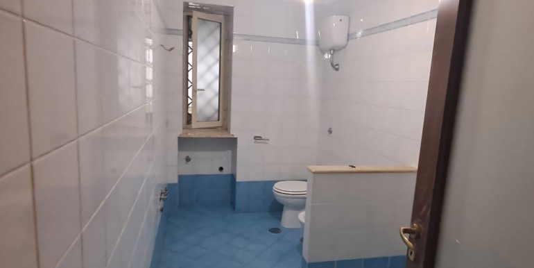 WhatsApp Image 2026-02-12 at 11.13.24 (2)