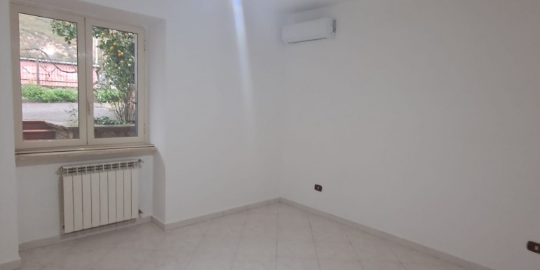 WhatsApp Image 2026-02-12 at 11.13.24