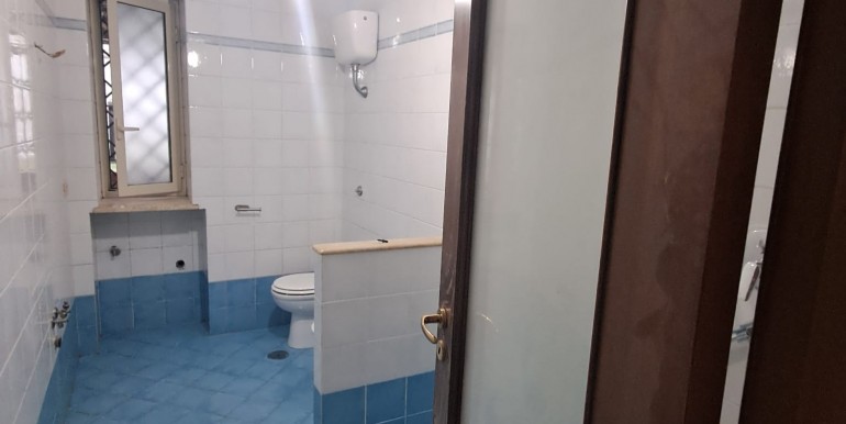 WhatsApp Image 2026-02-12 at 11.13.25