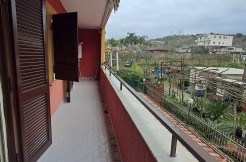 WhatsApp Image 2026-02-12 at 19.20.49 (1)