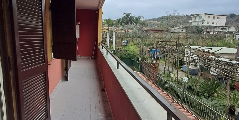 WhatsApp Image 2026-02-12 at 19.20.49 (1)