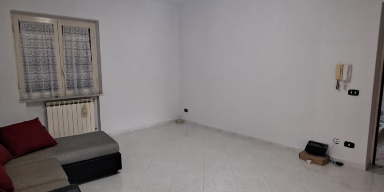 WhatsApp Image 2026-02-12 at 19.20.49 (7)