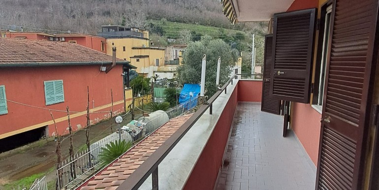 WhatsApp Image 2026-02-12 at 19.20.49