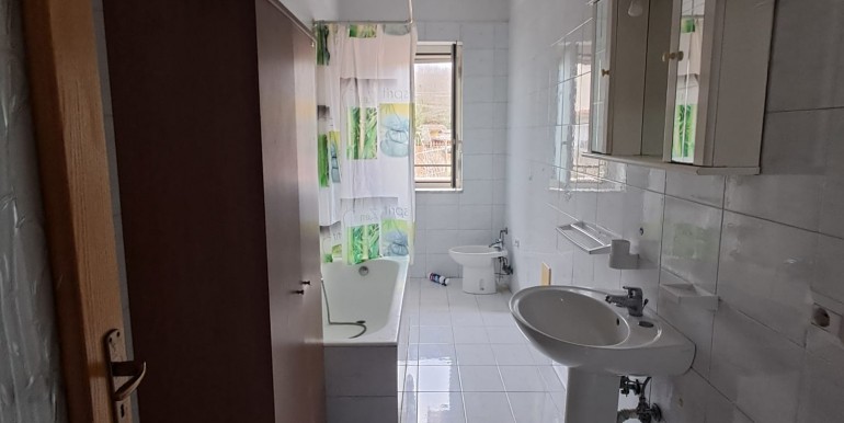 WhatsApp Image 2026-02-12 at 19.20.50