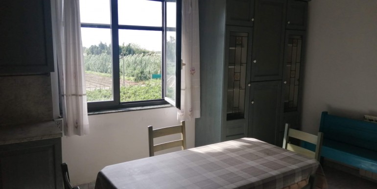 WhatsApp Image 2026-02-17 at 13.50.30 (1)