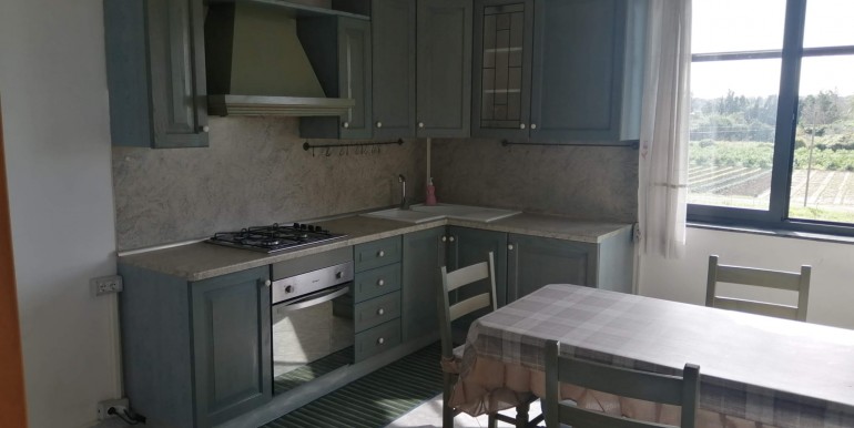 WhatsApp Image 2026-02-17 at 13.50.30