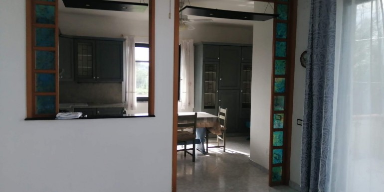 WhatsApp Image 2026-02-17 at 13.50.31 (1)