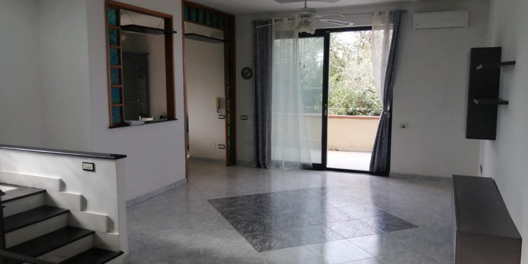 WhatsApp Image 2026-02-17 at 13.50.31