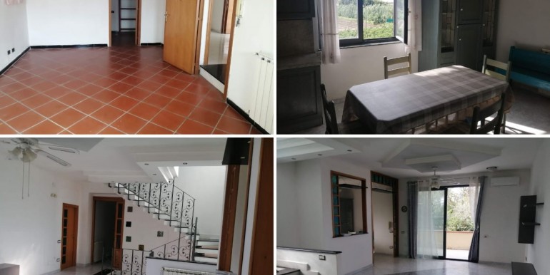 WhatsApp Image 2026-02-17 at 13.50.32 (1)