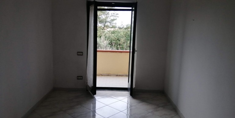 WhatsApp Image 2026-02-17 at 13.50.32