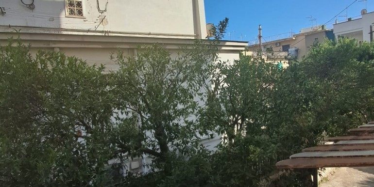 WhatsApp Image 2025-06-12 at 08.56.08