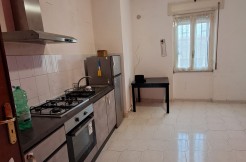 WhatsApp Image 2026-03-10 at 16.03.50 (1)