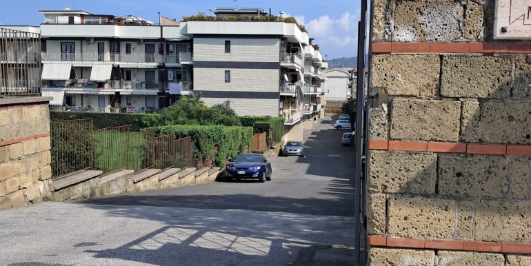 WhatsApp Image 2026-03-11 at 13.50.25