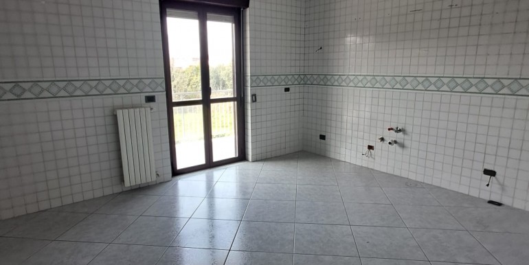 WhatsApp Image 2026-03-11 at 13.50.29 (1)