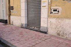 WhatsApp Image 2026-03-20 at 11.45.32