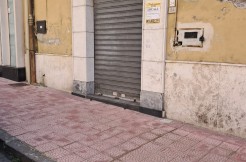 WhatsApp Image 2026-03-20 at 11.45.32