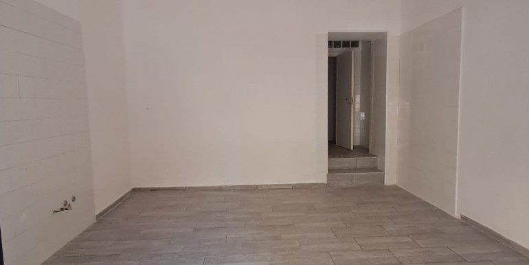 WhatsApp Image 2026-03-20 at 13.04.55