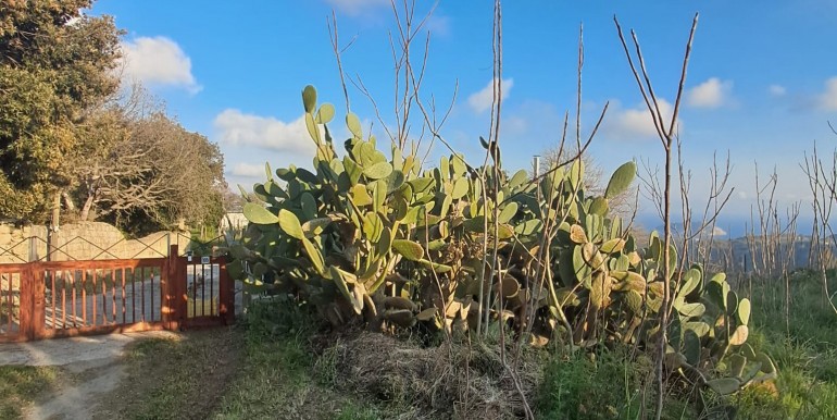 WhatsApp Image 2026-03-30 at 18.43.08