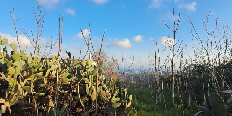 WhatsApp Image 2026-03-30 at 18.43.34 (2)