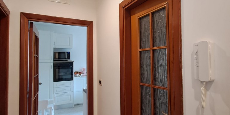 WhatsApp Image 2026-04-02 at 13.03.38 (3)