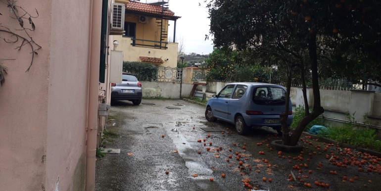 d6d76224-3f4f-49d2-a28e-506c0815e562